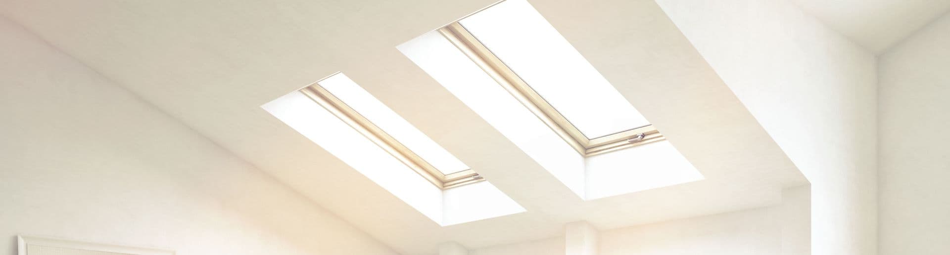 Skylight New Cropped for CTA